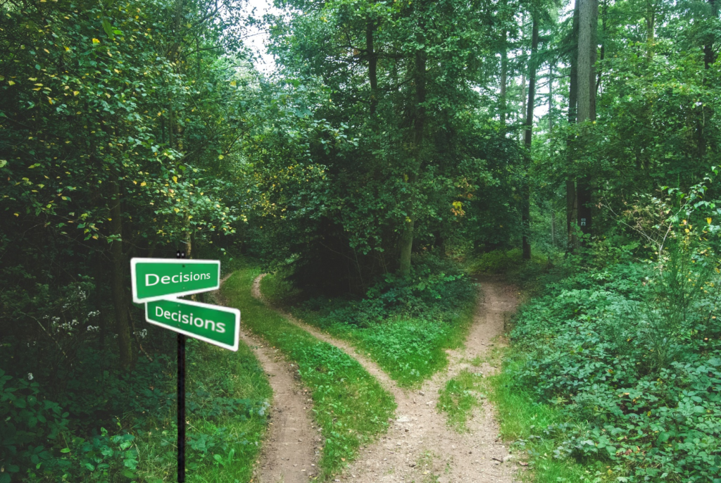 Decision fork in a forest road